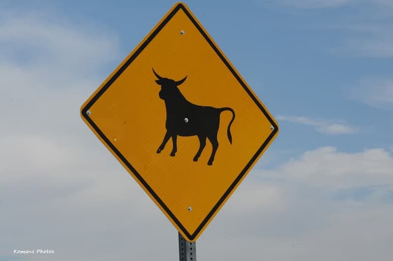 放牧牛に注意の道路標識
