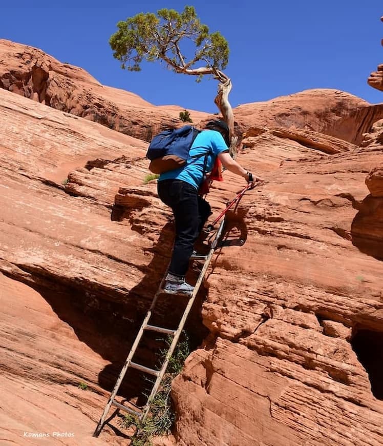赤茶色の砂岩壁を梯子でよじ登る女性ハイカー