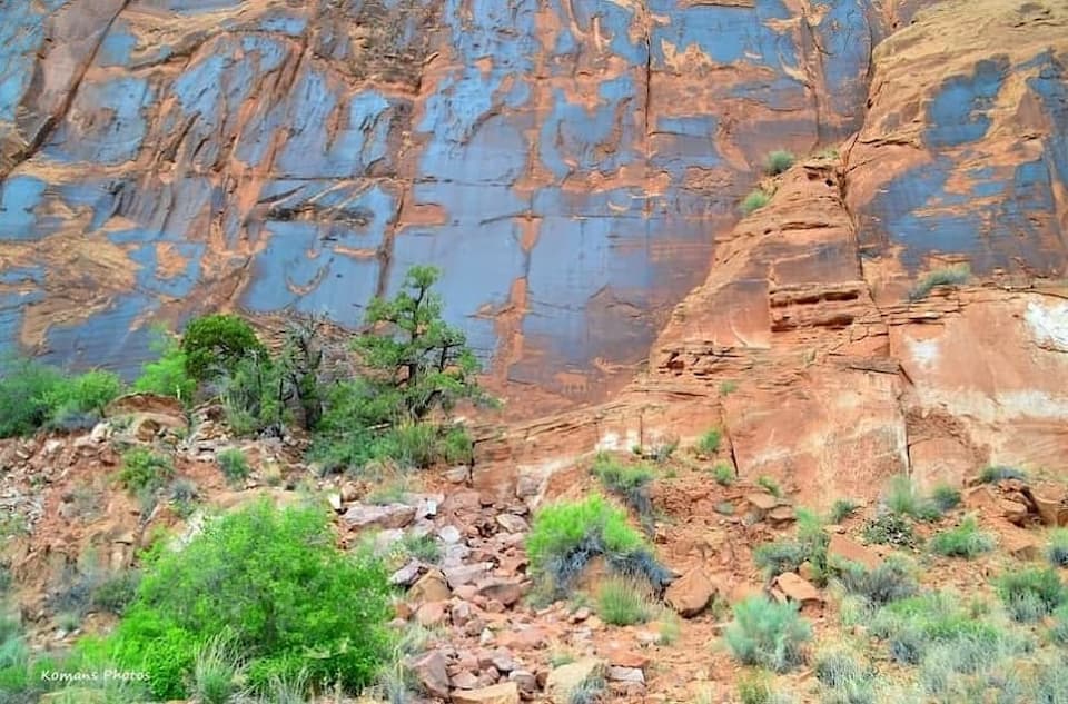 アメリカ先住民が描いた熊の岩絵が残る赤茶色の砂岩の断崖